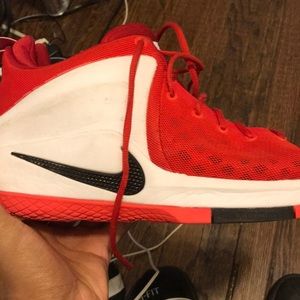 Lebron Witness edition